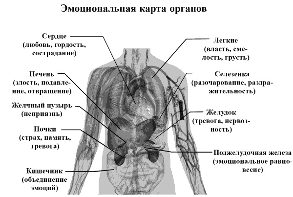 Иллюстрация к книге — Без революций. Работаем над собой, оставаясь в гармонии [_30896.jpg]