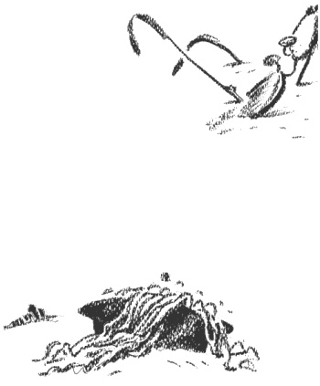 Иллюстрация к книге — Президент и его министры [Autogen_eBook_id17.jpg]