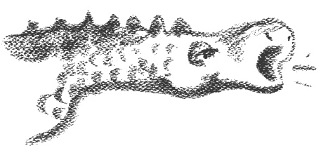 Иллюстрация к книге — Президент и его министры [Autogen_eBook_id27.jpg]