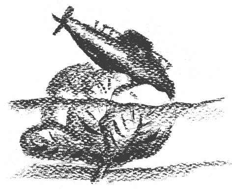 Иллюстрация к книге — Президент и его министры [Autogen_eBook_id40.jpg]