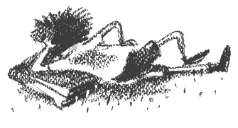 Иллюстрация к книге — Президент и его министры [Autogen_eBook_id43.jpg]