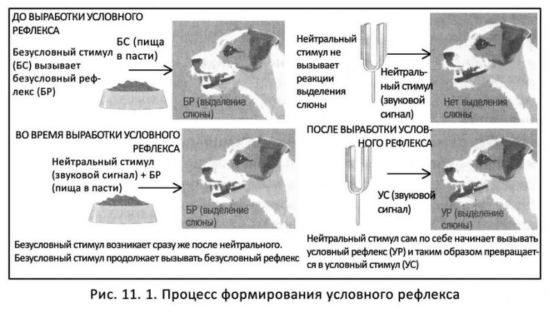 Иллюстрация к книге — Классические случаи в психологии [pic3.jpg]