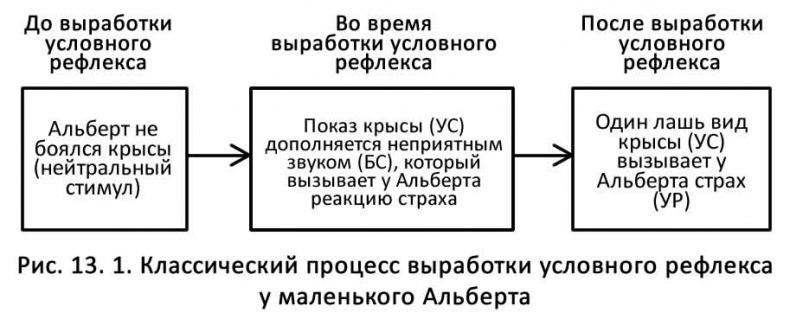 Иллюстрация к книге — Классические случаи в психологии [pic4.jpg]
