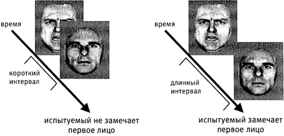 Иллюстрация к книге — Мозг и душа. Как нервная деятельность формирует наш внутренний мир [i_019.jpg]