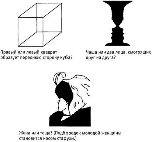 Иллюстрация к книге — Мозг и душа. Как нервная деятельность формирует наш внутренний мир [i_054.jpg]