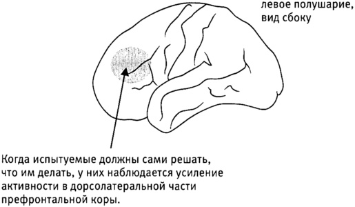 Иллюстрация к книге — Мозг и душа. Как нервная деятельность формирует наш внутренний мир [i_072.jpg]