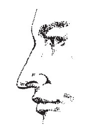 Иллюстрация к книге — Лицо - зеркало души. Физиогномика для всех [i_037.jpg]