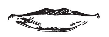 Иллюстрация к книге — Лицо - зеркало души. Физиогномика для всех [i_042.jpg]