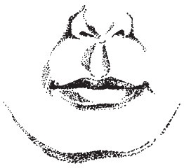 Иллюстрация к книге — Лицо - зеркало души. Физиогномика для всех [i_044.jpg]