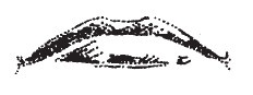 Иллюстрация к книге — Лицо - зеркало души. Физиогномика для всех [i_047.jpg]