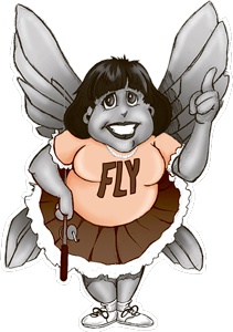 Иллюстрация к книге — Школа Флайледи. Как навести порядок в доме и в жизни [i_002.jpg]