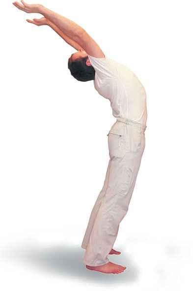 Иллюстрация к книге — Йога. Большая книга лучших асан [Autogen_eBook_id105.jpg]