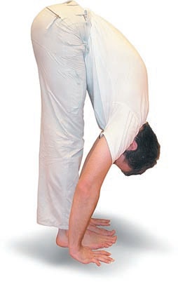 Иллюстрация к книге — Йога. Большая книга лучших асан [Autogen_eBook_id106.jpg]