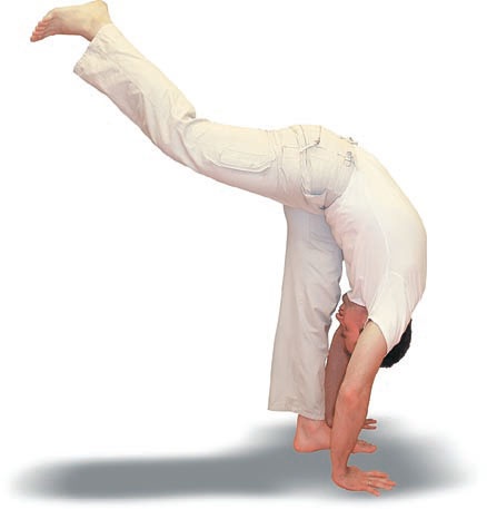 Иллюстрация к книге — Йога. Большая книга лучших асан [Autogen_eBook_id111.jpg]