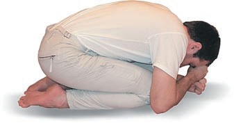 Иллюстрация к книге — Йога. Большая книга лучших асан [Autogen_eBook_id120.jpg]