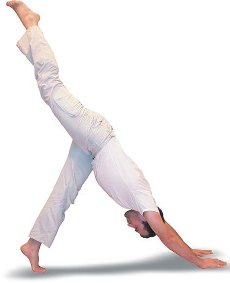 Иллюстрация к книге — Йога. Большая книга лучших асан [Autogen_eBook_id128.jpg]