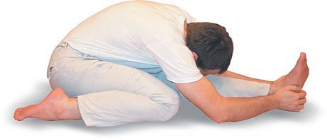 Иллюстрация к книге — Йога. Большая книга лучших асан [Autogen_eBook_id134.jpg]