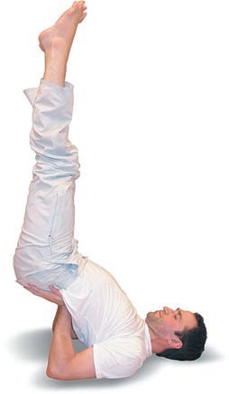 Иллюстрация к книге — Йога. Большая книга лучших асан [Autogen_eBook_id154.jpg]