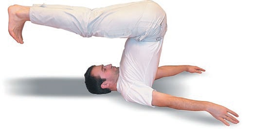 Иллюстрация к книге — Йога. Большая книга лучших асан [Autogen_eBook_id158.jpg]