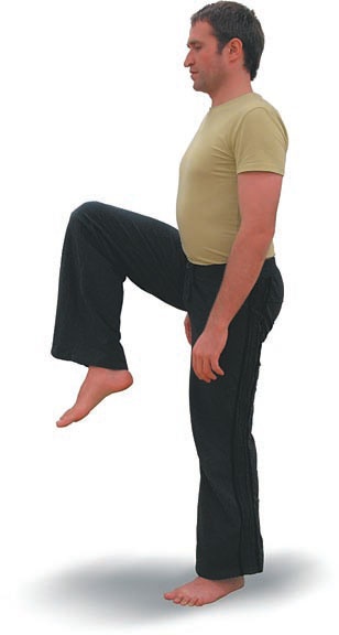 Иллюстрация к книге — Йога. Большая книга лучших асан [Autogen_eBook_id16.jpg]