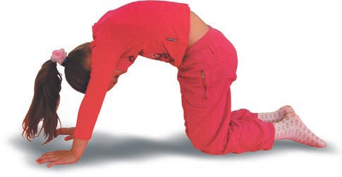 Иллюстрация к книге — Йога. Большая книга лучших асан [Autogen_eBook_id181.jpg]