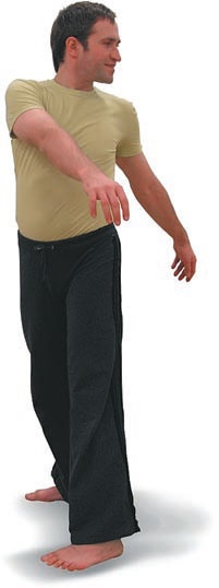 Иллюстрация к книге — Йога. Большая книга лучших асан [Autogen_eBook_id20.jpg]