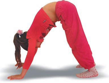 Иллюстрация к книге — Йога. Большая книга лучших асан [Autogen_eBook_id200.jpg]