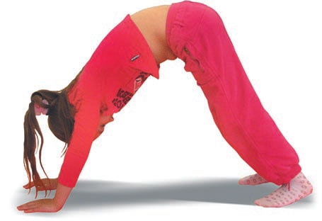 Иллюстрация к книге — Йога. Большая книга лучших асан [Autogen_eBook_id216.jpg]