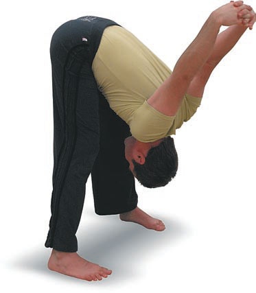 Иллюстрация к книге — Йога. Большая книга лучших асан [Autogen_eBook_id24.jpg]