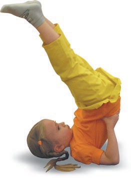 Иллюстрация к книге — Йога. Большая книга лучших асан [Autogen_eBook_id286.jpg]