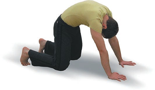 Иллюстрация к книге — Йога. Большая книга лучших асан [Autogen_eBook_id39.jpg]