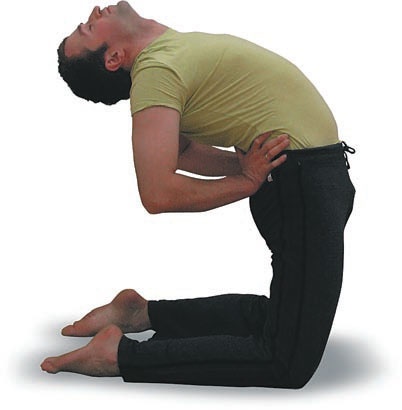 Иллюстрация к книге — Йога. Большая книга лучших асан [Autogen_eBook_id81.jpg]