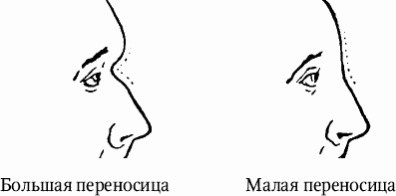 Иллюстрация к книге — Как распознать преступника [image13.jpg]