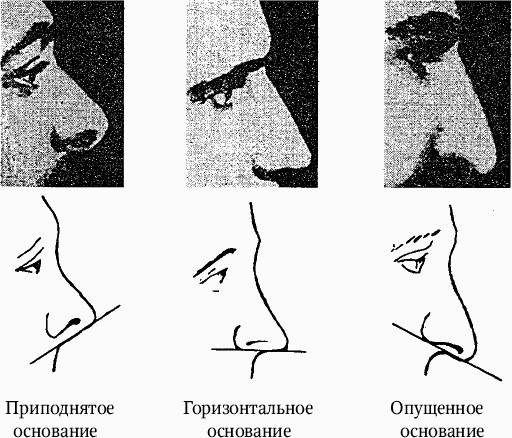 Иллюстрация к книге — Как распознать преступника [image15.jpg]