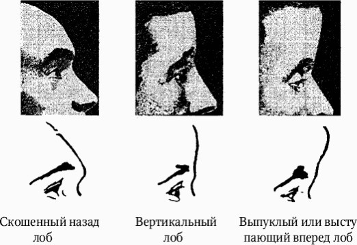 Иллюстрация к книге — Как распознать преступника [image3.jpg]