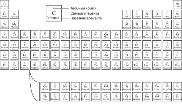 Иллюстрация к книге — Вселенная внутри вас [i_015.jpg]