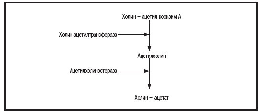 Иллюстрация к книге — Мысленные образы. Когнитивный подход [i_018.jpg]