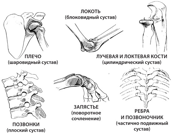 Иллюстрация к книге — Чудо-вода [i_028.jpg]