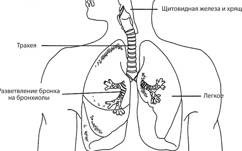 Иллюстрация к книге — Чудо-вода [i_054.jpg]