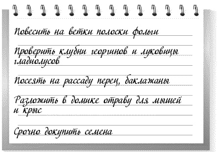 Иллюстрация к книге — Сад и огород: все делаем вовремя. Сеем, удобряем, собираем [i_001.jpg]