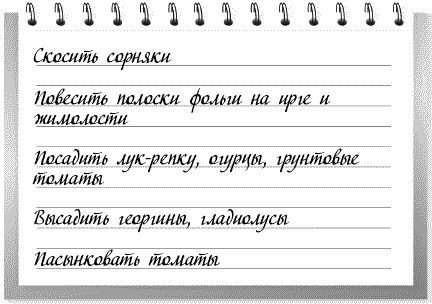 Иллюстрация к книге — Сад и огород: все делаем вовремя. Сеем, удобряем, собираем [i_005.jpg]