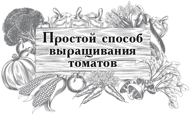 Иллюстрация к книге — Большой урожай на маленьких грядках. Все секреты повышения урожайности [i_026.jpg]