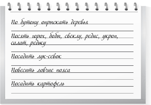 Иллюстрация к книге — Большой урожай на маленьких грядках. Все секреты повышения урожайности [i_050.jpg]