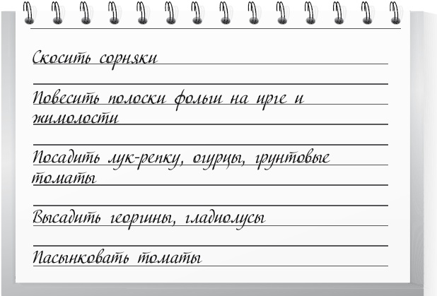 Иллюстрация к книге — Большой урожай на маленьких грядках. Все секреты повышения урожайности [i_052.jpg]