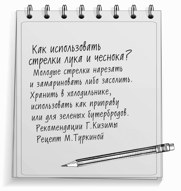 Иллюстрация к книге — Консервирование для лентяек. Вкусные и надежные заготовки по-быстрому [i_002.jpg]