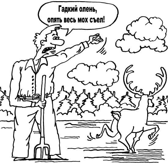 Иллюстрация к книге — Большая книга огородника и садовода. Все секреты плодородия [i_013.jpg]