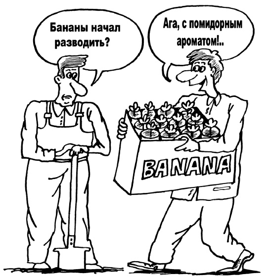 Иллюстрация к книге — Большая книга огородника и садовода. Все секреты плодородия [i_039.jpg]