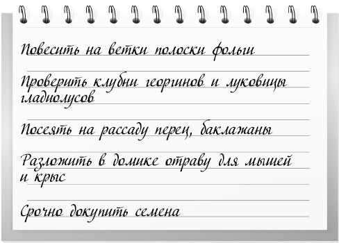 Иллюстрация к книге — Сад и огород для тех, кому за… без лишних усилий [i_003.jpg]