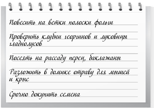 Иллюстрация к книге — Сад и огород для тех, кому за… без лишних усилий [i_004.jpg]