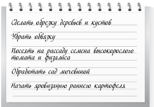 Иллюстрация к книге — Сад и огород для тех, кому за… без лишних усилий [i_005.jpg]